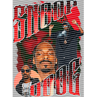 idol singer-GS  1380